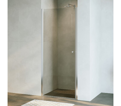 Душевая дверь Dolphin RGW TN-03 54930309-101 Хром 