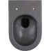 Унитаз подвесной Allen Brau Reality 4.32015.AN антрацит 