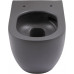Унитаз подвесной Allen Brau Reality 4.32015.AN антрацит 