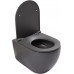 Унитаз подвесной Allen Brau Reality 4.32015.AN антрацит 