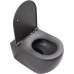 Унитаз подвесной Allen Brau Reality 4.32015.AN антрацит 