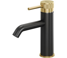 Смеситель для раковины Allen Brau Priority 5.31A01-31GB черный/золото 