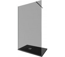 Душевая перегородка Allen Brau Infinity 1 160 3.21032.BA.T серебро браш 