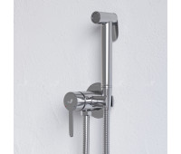 Комплект для гигиенического душа RGW SP-206 Shower Panels 511408206-01 Хром 