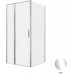 Душевой уголок Allen Brau Priority 100x100 3.31028.00 + 3.31046.00 хром 