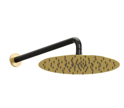 Верхний душ Allen Brau Priority 5.31A17-GB31 черный/золото 