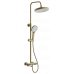Душевая система BELZ золотой B25713-5 золотой 
