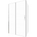 Душевой уголок Allen Brau Priority 120x100 3.31032.BA + 3.31047.BA серебро браш 
