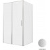 Душевой уголок Allen Brau Priority 120x100 3.31032.BA + 3.31047.BA серебро браш 
