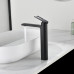 Смеситель для раковины Black&White GF-7203-MB 