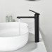 Смеситель для раковины Black&White GF-7203-MB 
