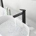 Смеситель для раковины Black&White GF-7203-MB 