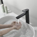 Смеситель для раковины Black&White GF-7203-MB 