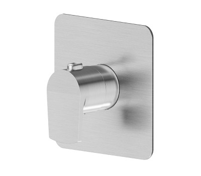 Смеситель для душа термостат Newform Haka 67691E.59.066 Нержавейка 