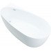 Акриловая ванна Allen Brau Priority 170x80 2.31002.21 белый матовый 