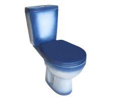 Унитаз-компакт Rosa Рио двухрежимный, синий декор CS00094180 Унитаз-компакт Rosa Рио двухрежимный, синий декор CS00094180