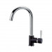 Смеситель для кухни PAINI Cox, хром (CR) 78H4572CRL2LMKM 