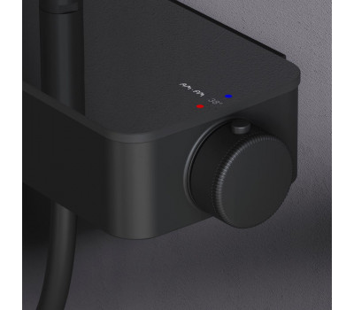 Душевая система с термостатом AM.PM Inspire V2.0 F0750A422 Черный 