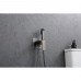 Смеситель Raglo встраиваемый с гигиеническим душем R01.52.09 графит Смеситель Raglo встраиваемый с гигиеническим душем R01.52.09 графит