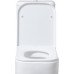 Крышка-сиденье для унитаза Allen Brau Infinity 4.21010.20 белый глянец Крышка-сиденье для унитаза Allen Brau Infinity 4.21010.20 белый глянец