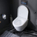 Унитаз подвесной FlashClean с сиденьем микролифт AM.PM Sense C741701SC Белый 