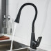 Смеситель для кухни с гибким изливом Raffine F313H-3, черный
