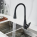 Смеситель для кухни с гибким изливом Raffine F313H-3, черный