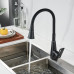 Смеситель для кухни с гибким изливом Raffine F313H-3, черный