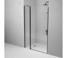Душевая дверь в нишу 120x190 см, распашная AM.PM Sunny W87G-120-1P-BT  