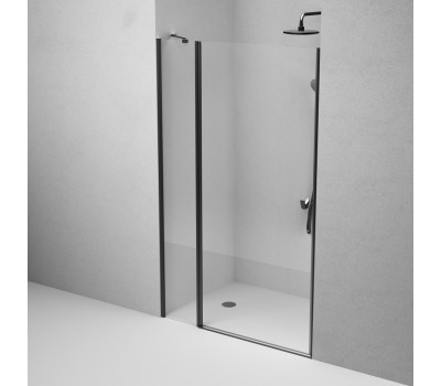 Душевая дверь в нишу 120x190 см, распашная AM.PM Sunny W87G-120-1P-BT  