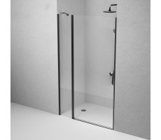Душевая дверь в нишу 120x190 см, распашная AM.PM Sunny W87G-120-1P-BT  