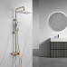 Душевая система Shevanik S4436G, золотой сатин