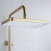 Душевая система Shevanik S4436G, золотой сатин