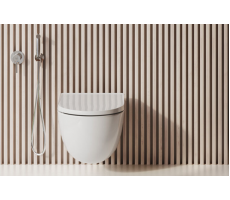 Унитаз Kludi RESA D 24WCSET43 хром 