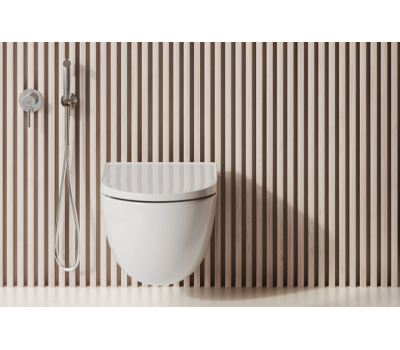 Унитаз Kludi RESA D 24WCSET43 хром 
