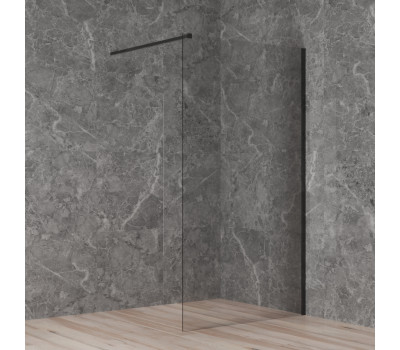 Душевая перегородка 110x195 стекло прозрачное PAINI-WalkIN110C 