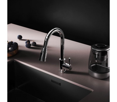 Смеситель для кухни с вытягивающимся изливом, хром AM.PM X-Joy S F85B07500 Хром 