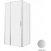 Душевой уголок Allen Brau Priority 100x80 3.31029.BA + 3.31041.BA серебро браш 