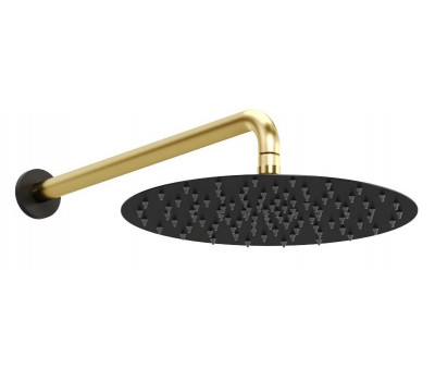 Верхний душ Allen Brau Priority 5.31A17-31GB черный/золото 