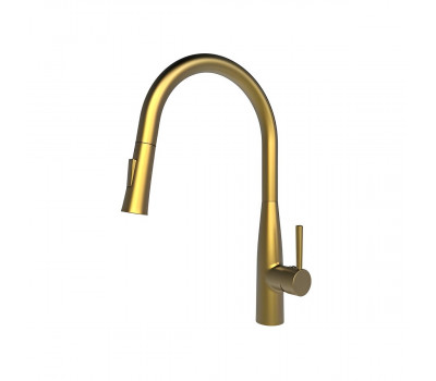 Смеситель для кухни Raiber RPG-011, золото 