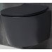 Подвесной унитаз Allen Brau Fantasy 4.11004.31 черный матовый 