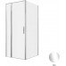 Душевой уголок Allen Brau Priority 90x100 3.31025.00 + 3.31046.00 хром 