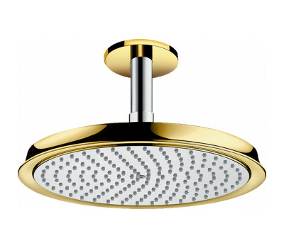Верхний душ Hansgrohe Raindance 27405090 хром 