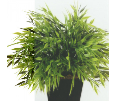 Душевая ширма Терра-Графит, 120х90, прямоугольник Triton Щ0000073938 