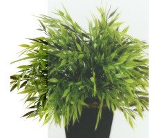 Душевая ширма Терра-Графит, 120х90, прямоугольник Triton Щ0000073938 