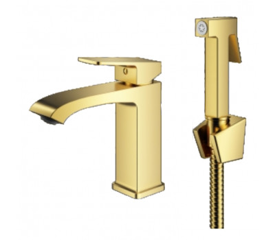 Смеситель для раковины с гигиеническим душем Prohanss P60.12.03, золотой сатин 