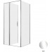 Душевой уголок Allen Brau Priority 100x90 3.31028.00 + 3.31043.00 хром 