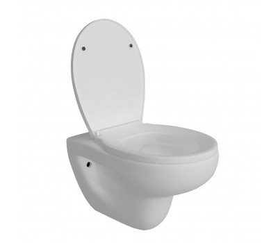 Унитаз подвесной Maretti Aria безободковый с микролифтом, AR10PBM80-844, белый 