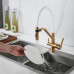 Смеситель для кухни с гибким изливом и подключением фильтра Shevanik S278G, золотой сатин