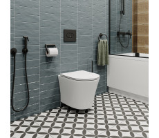 Унитаз подвесной Teymi Ellie T40802 безободковый, сиденье микролифт Унитаз подвесной Teymi Ellie T40802 безободковый, сиденье микролифт